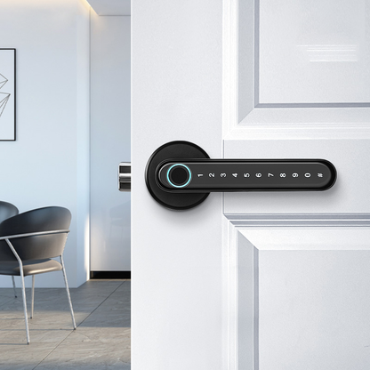 fingerprint Smart Lock and Door Handle – Internal & External Doors
