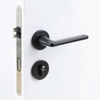 Normal Lock and Door Handle