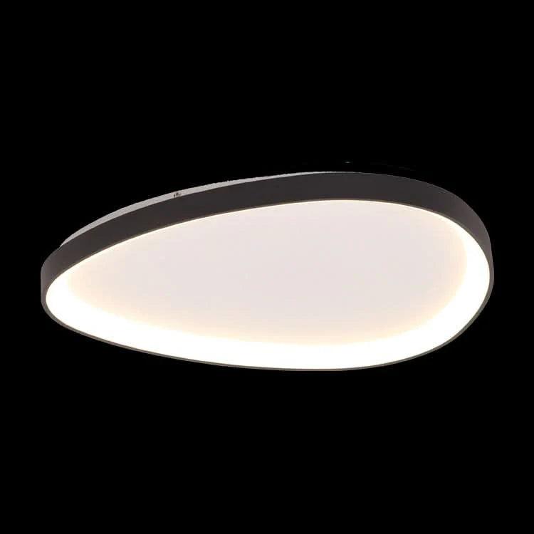 Ovoid metal and acrylic ceiling light fitting.